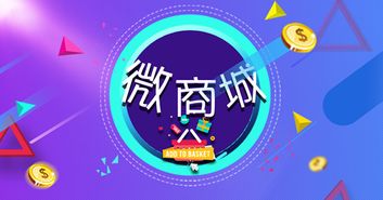 打造卓越的微信商城系統(tǒng) B2C電子商務(wù)開發(fā)全攻略